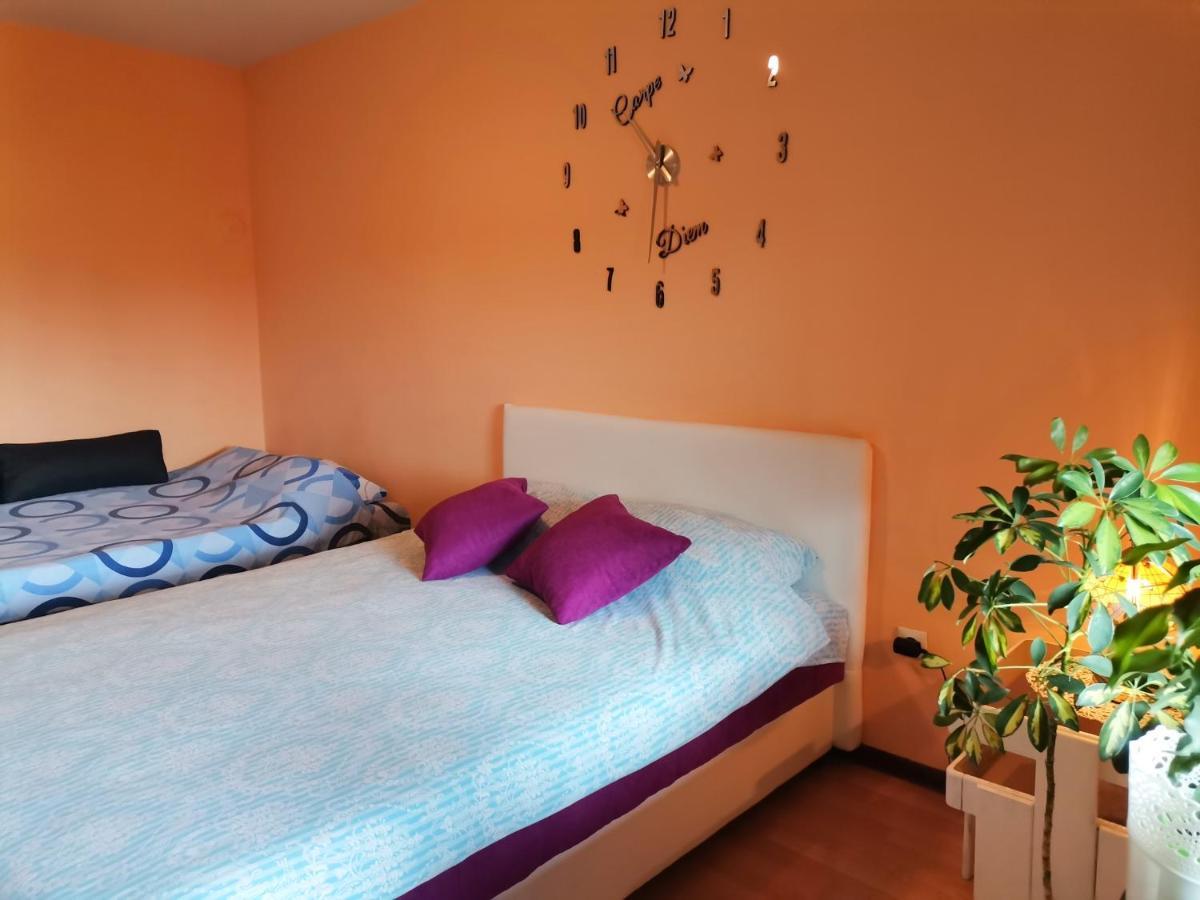 Apartment Andjela Zlatibor Eksteriør bilde