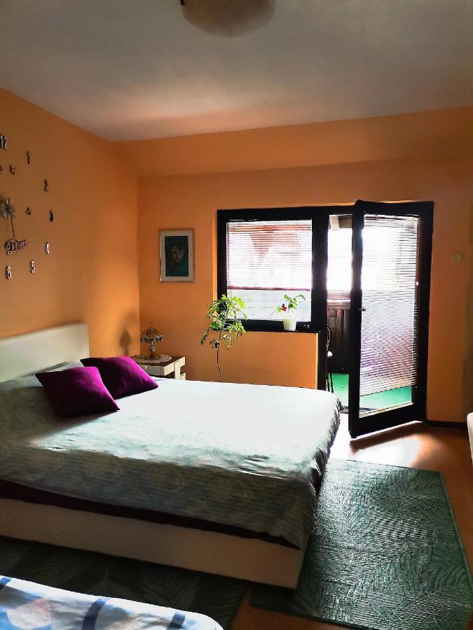 Apartment Andjela Zlatibor Eksteriør bilde