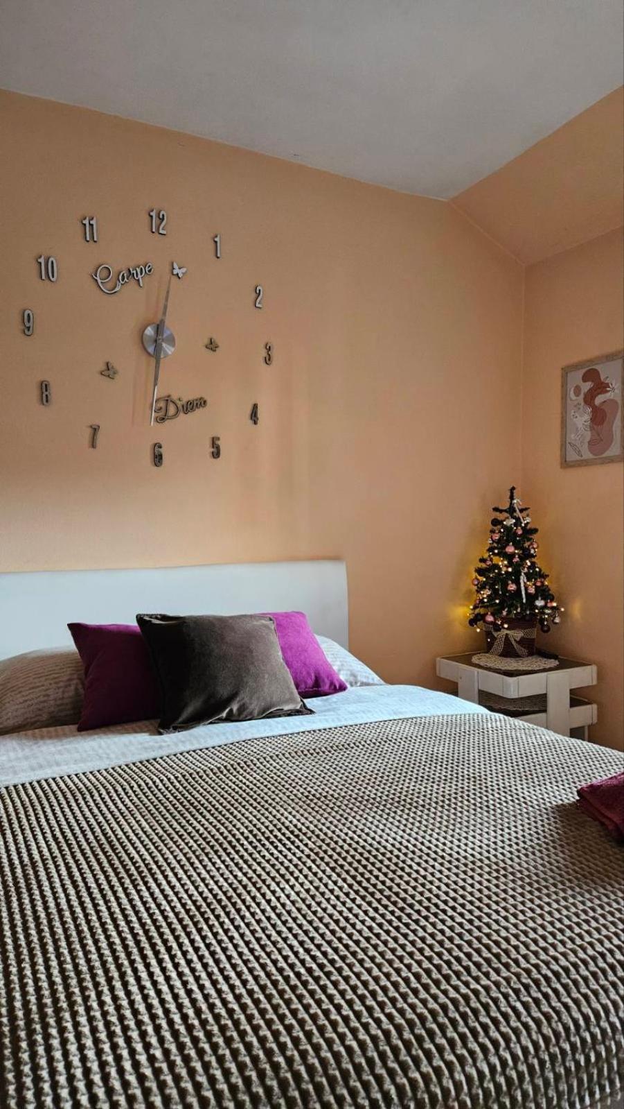 Apartment Andjela Zlatibor Eksteriør bilde